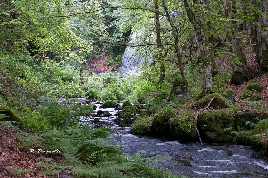 Une cascade de la forêt d'Aubrac