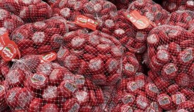 Babybel dit adieu au plastique autour de ses fromages en portion
