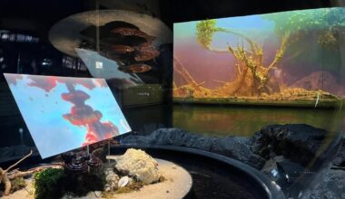 À Tourcoing, des installations hypnotiques et impressionnantes dans la nouvelle expo « Panorama 27 »