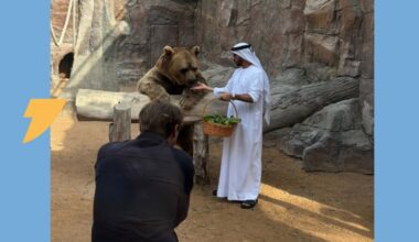 Photographe de sport, un métier à risques