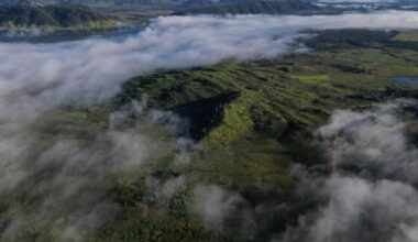 la loi antidéforestation reportée d’un an par les pays européens