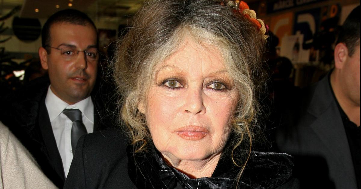 Brigitte Bardot hospitalisée pour la 2e fois à Toulon : ce que l’on sait