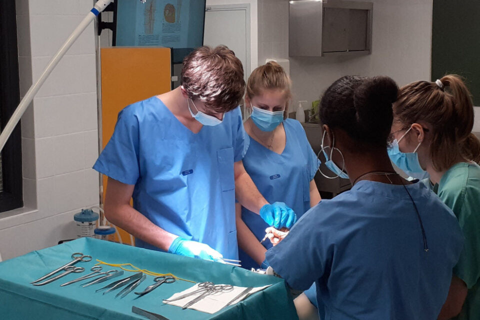 fac médecine laboratoire anatomie dissection don de corps