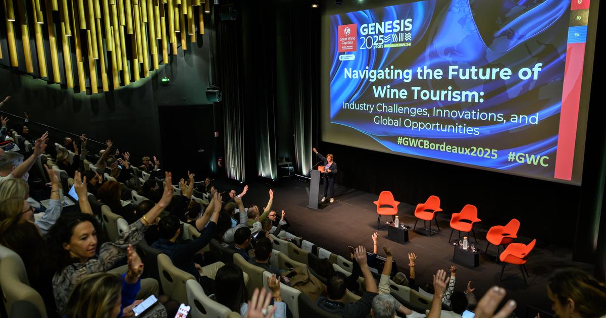 Hébergement, architecture... Ces domaines bordelais récompensés pour leurs offres œnotouristiques