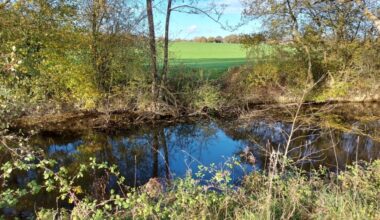 Qualité de l’eau en Ille-et-Vilaine : une consultation publique lancée
