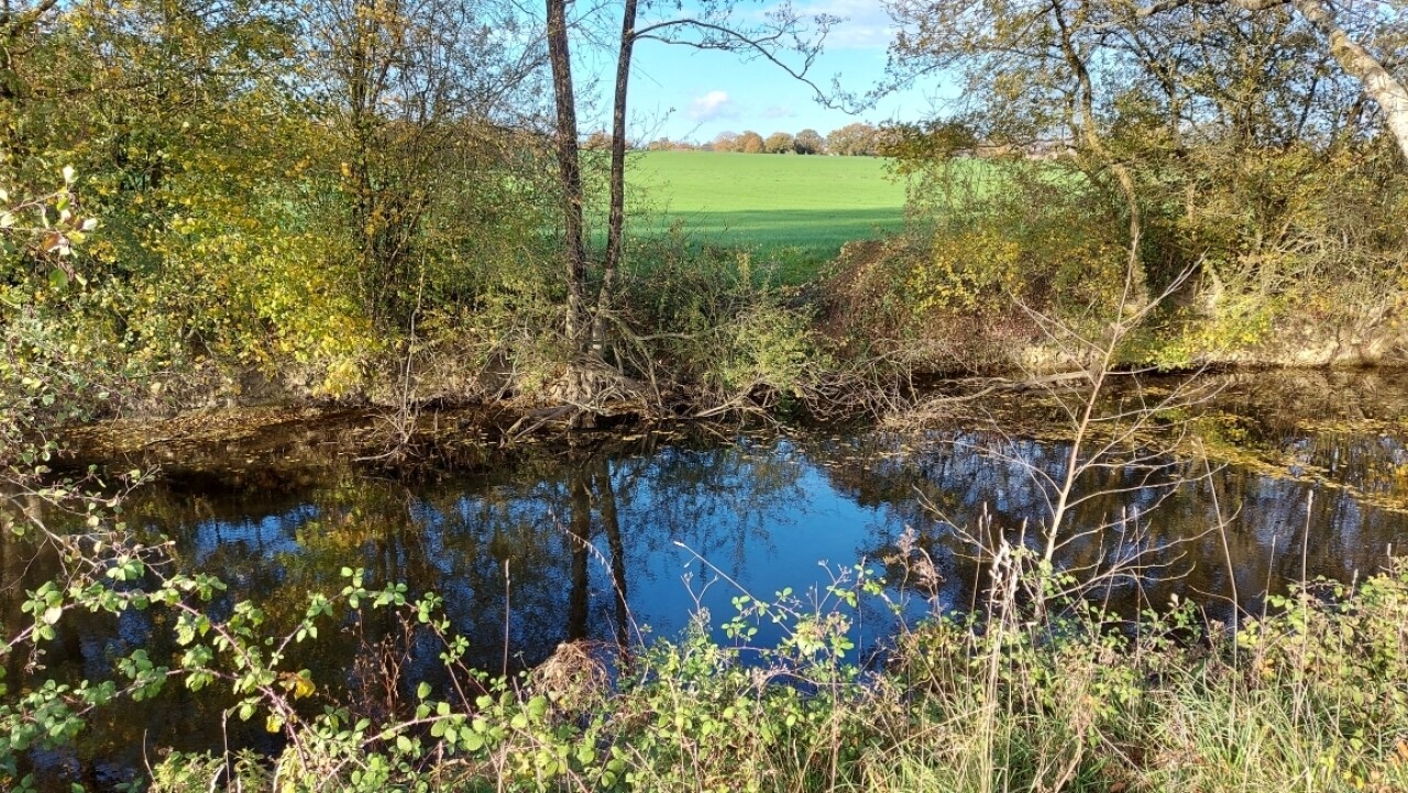Qualité de l’eau en Ille-et-Vilaine : une consultation publique lancée
