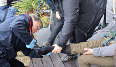 trois manifestants blessés, dont deux femmes de 76 ans