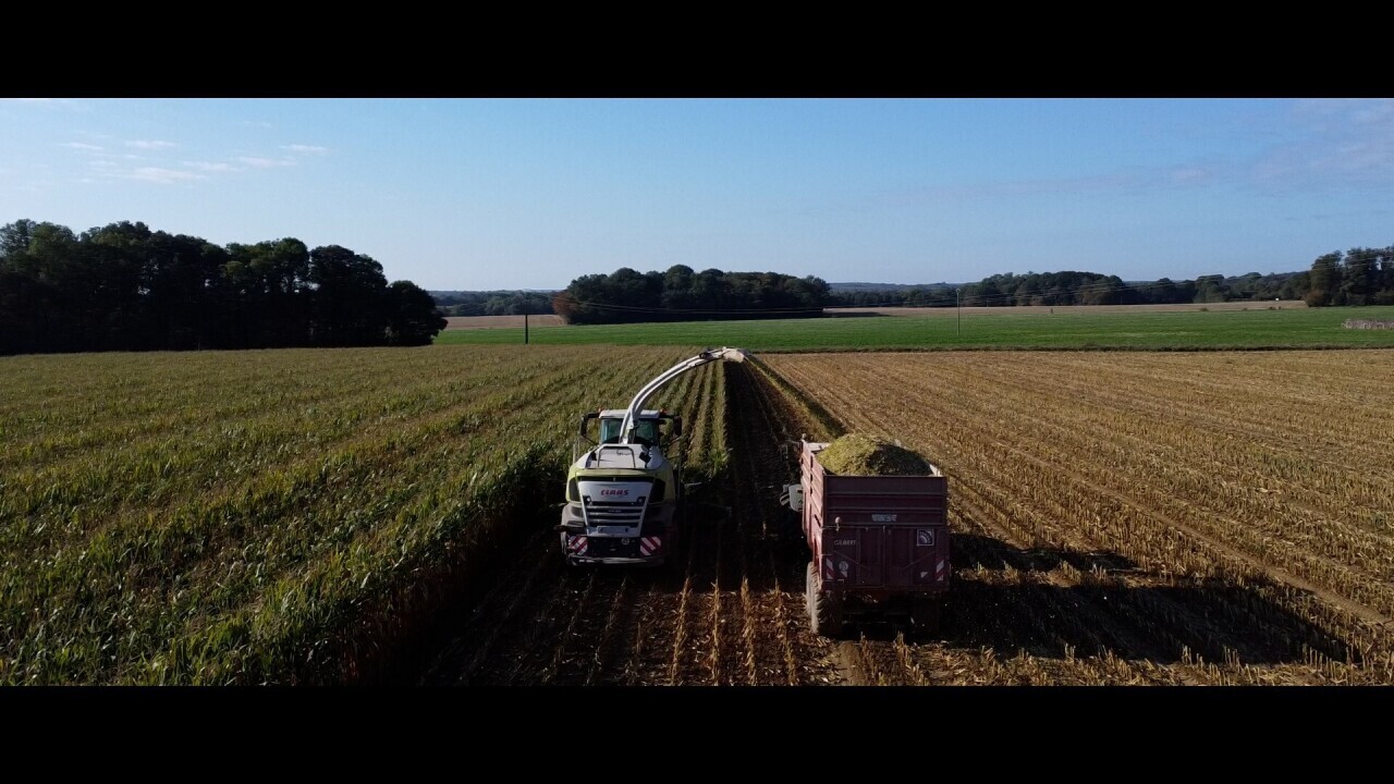 Trois familles d'agriculteurs du Perche dans l'œil du cinéaste Éric Le Roch