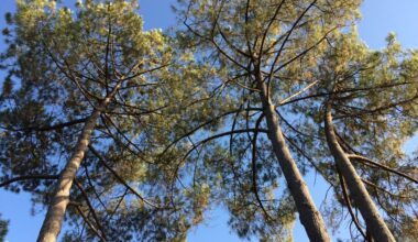 un grand rendez-vous autour de l'agroécologie près de Bordeaux