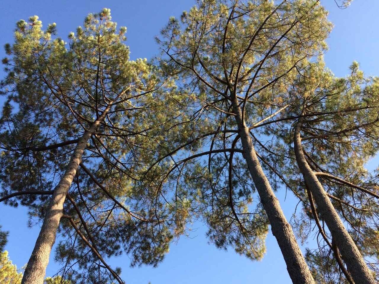 un grand rendez-vous autour de l'agroécologie près de Bordeaux