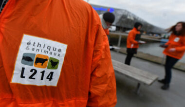 à Rennes, L214 vent debout contre l'enseigne, voici pourquoi