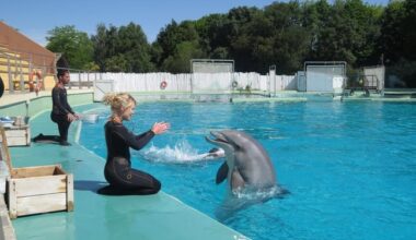 Page d'accueil Yahoo news