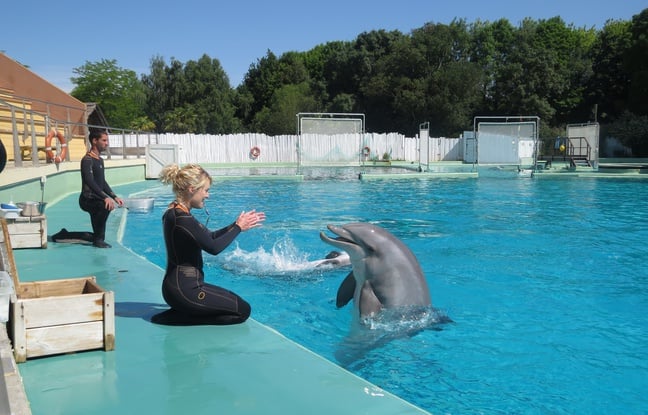 Page d'accueil Yahoo news