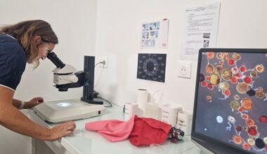 Mycea transfère son activité mycorhizes à Amoterra et réorganise sa gouvernance