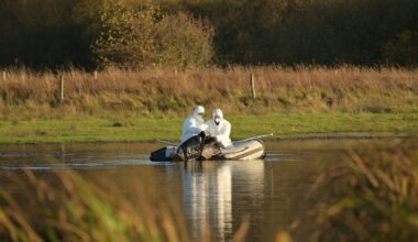 Grippe aviaire, origine, incubation, risque pour l’Homme, le point complet