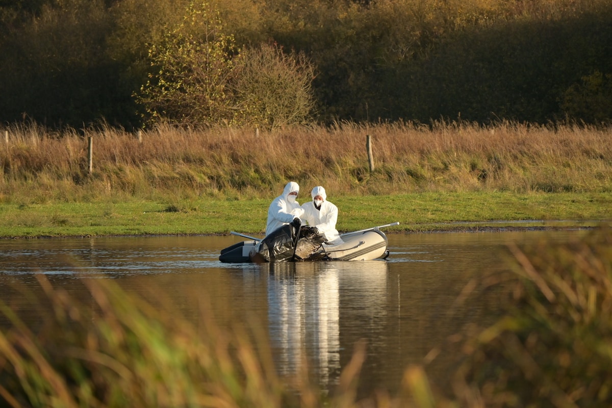 Grippe aviaire, origine, incubation, risque pour l’Homme, le point complet