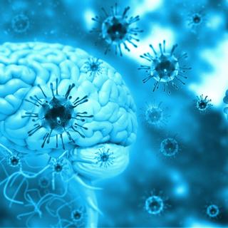 La maladie d'Alzheimer peut-elle être déclenchée suite à une infection virale ? © Rasi, Abode Stock