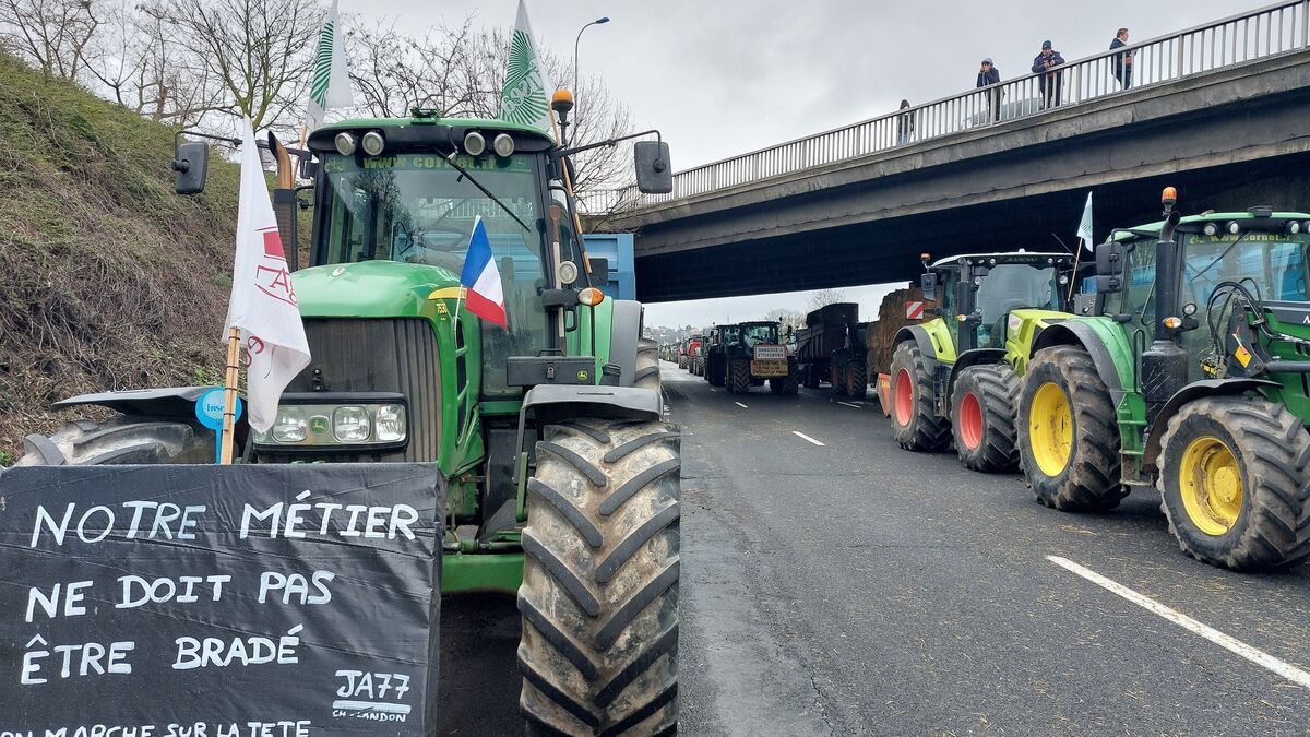 Près de Paris, les agriculteurs manifestent pour crier leur malaise «dans un contexte très tendu»