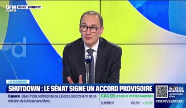 "C'est au moment où on commençait à avoir de vrais impacts sur le transport aérien aux États-Unis", qu'un accord provisoire sur le shutdown a été trouvé, explique Wilfrid Galand, directeur général adjoint de Montpensier-Arbevel