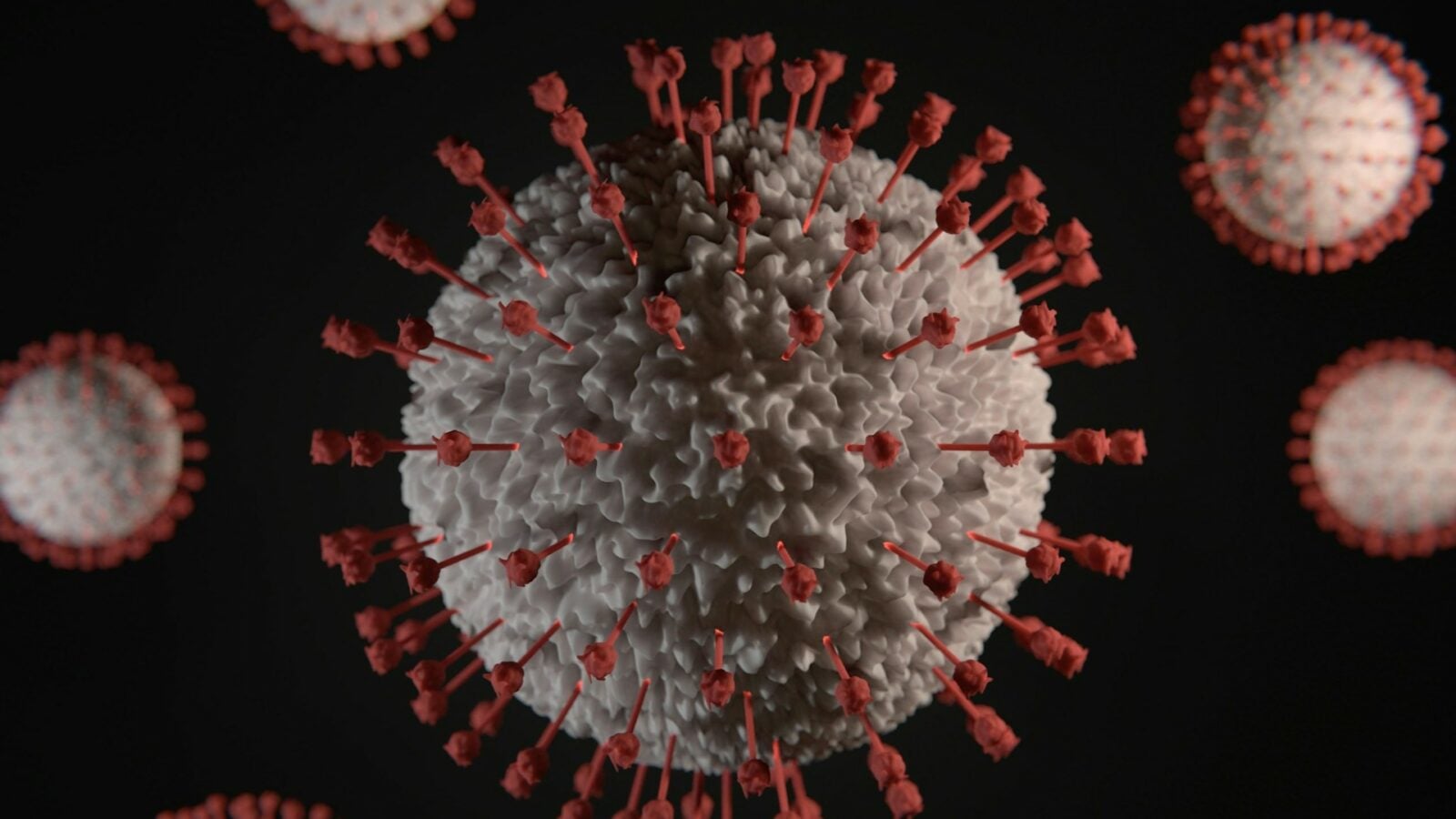 Ces chercheurs viennent d’identifier un nouvel effet du COVID passé inaperçu