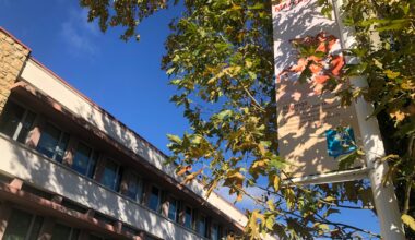 2025_novembre_Toulouse_Collège Marengo