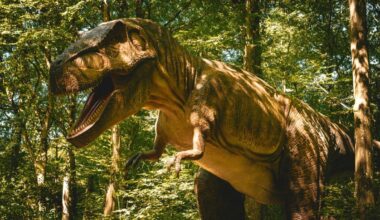 l'expo immersive qui nous fait remonter le temps à Paris