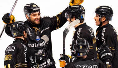 J20 - Résultats. Les Dragons de Rouen en démonstration