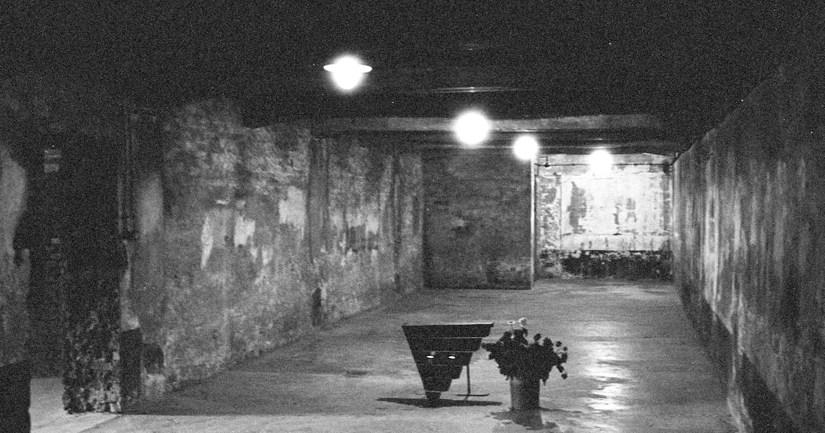 L’enquête en France visant le réseau social X étendue à des «propos négationnistes» publiés par son IA – Libération