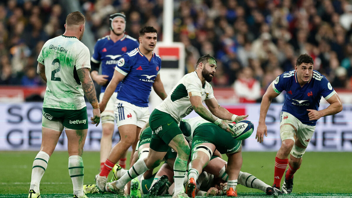 France-Afrique du Sud (17-32) : pourquoi les joueurs étaient recouverts de vert après le match ?