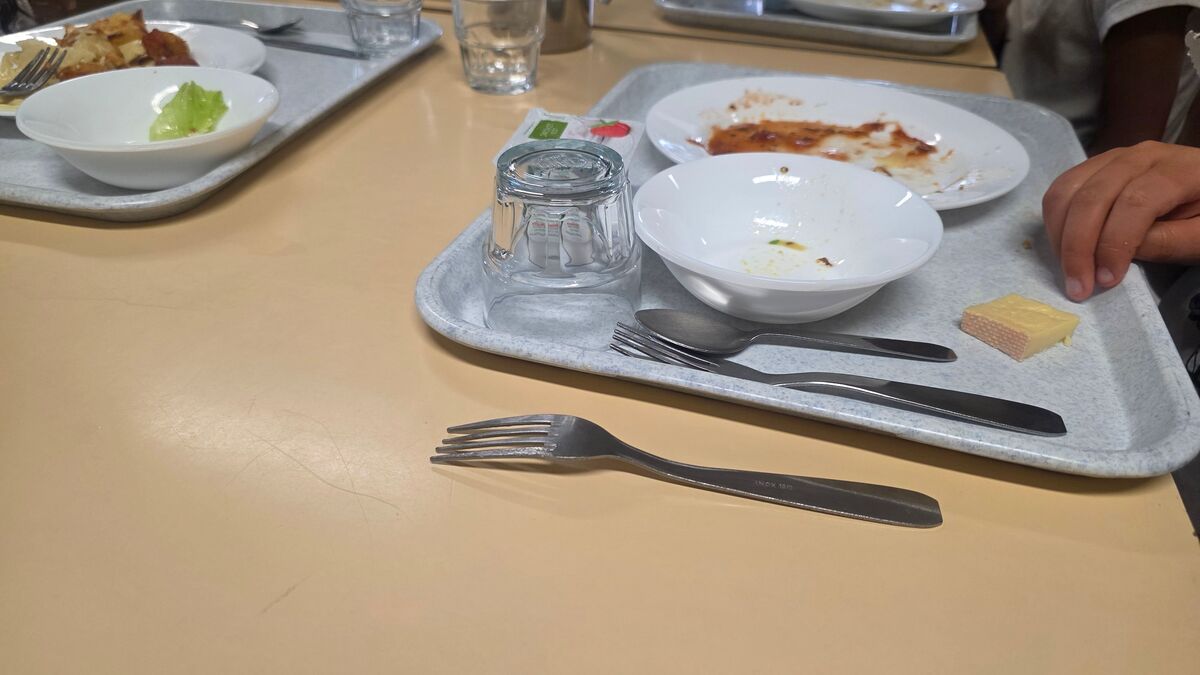 « Ma fille ira chez Mamie » : à Paris, le système D des parents face à la grève des cantines