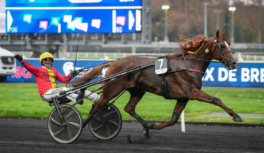 Arrivée du quinté du dimanche 16 novembre à Vincennes : Josh Power se qualifie avec la manière