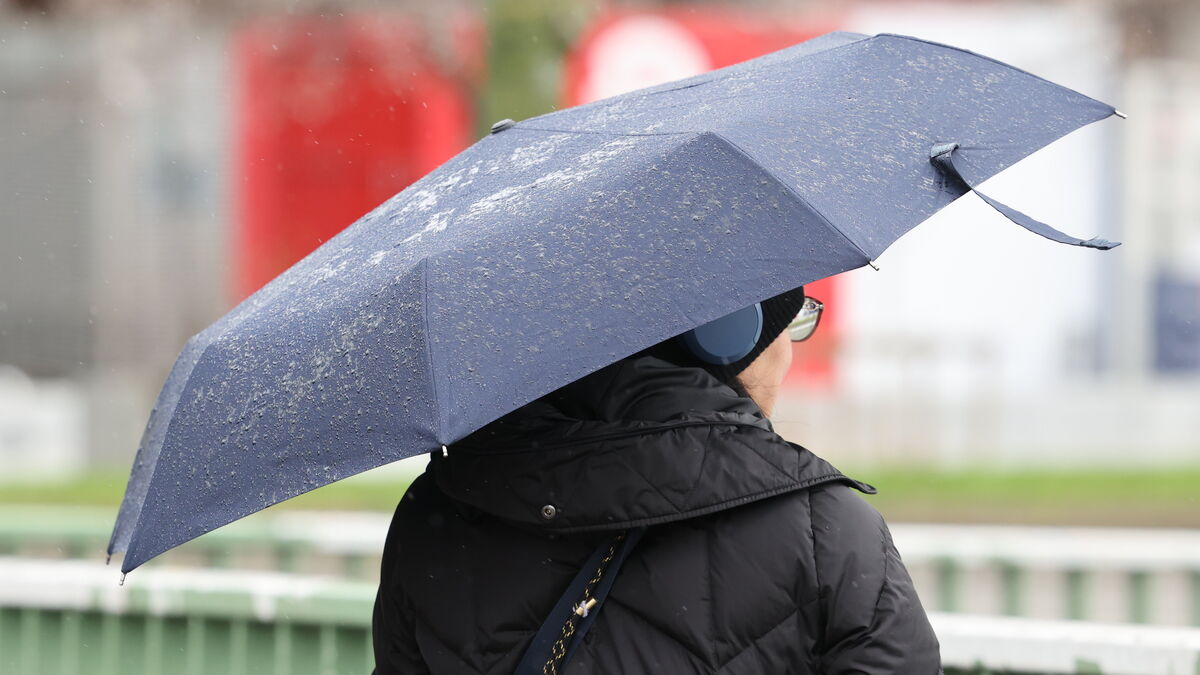 Pluies, redoux... Va-t-il encore neiger ce dimanche ?