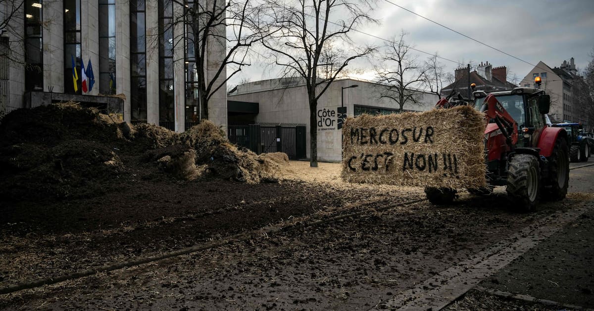 Le traité UE-Mercosur toujours au cœur de la fronde des agriculteurs : «Des feux de la colère s’allument partout - Libération
