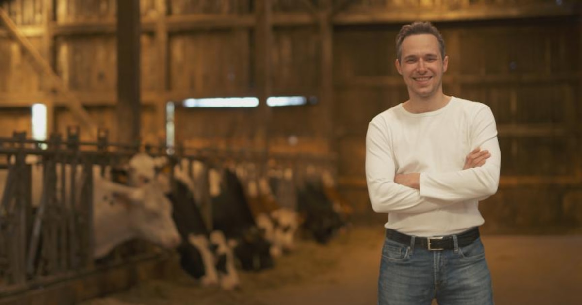 Coup de théâtre dans "L'Amour est dans le pré" : Après avoir quitté l'aventure, une prétendante revient chez Nicolas