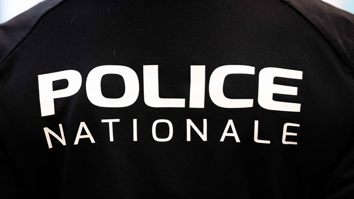 Un homme retrouvé mort, le visage dévoré par son chien à Auxerre