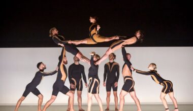 Destimed IMG 20251123 WA0002