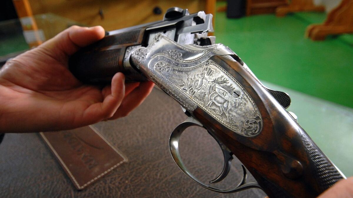 « Un pétage de plombs » : agacé par le bruit, le voisin irascible tire à la carabine et blesse une ado à Levallois