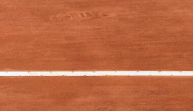 Ancien top 100, Dennis Novak prend sa retraite à 32 ans