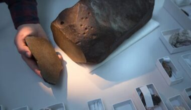 Il croyait tenir une pépite d’or : c’était une gemme rarissime, bien plus précieuse que l’or