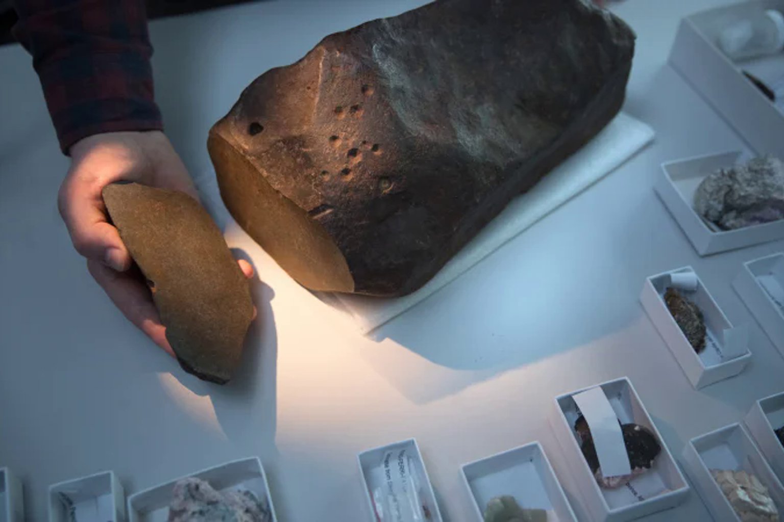 Il croyait tenir une pépite d’or : c’était une gemme rarissime, bien plus précieuse que l’or