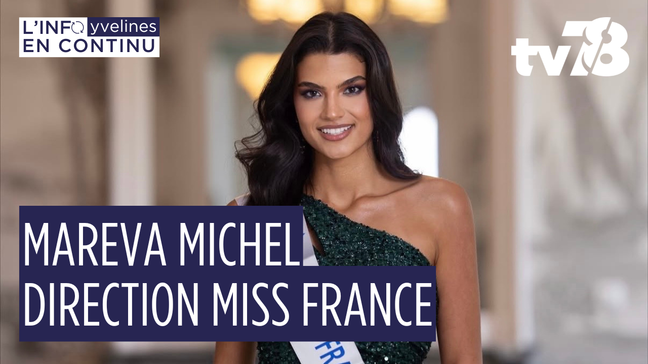 Mareva Michel, de Miss Île-de-France à Miss France