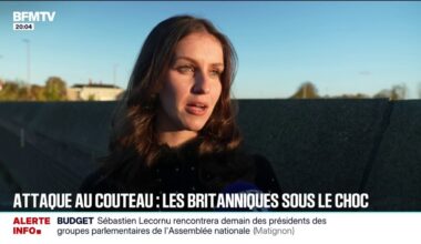 les Britanniques réagissent après l'attaque au couteau au Royaume-Uni