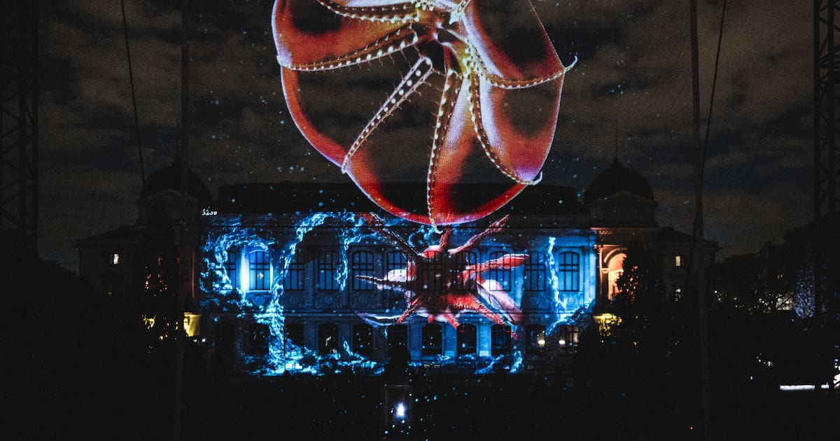 Fluorescence, bioluminescence, incandescence… A Paris, une expo nocturne dévoile les lumières cachées de la nature – Libération