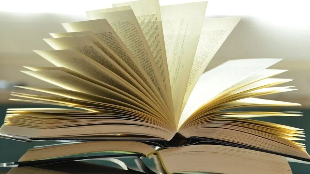 Freida McFadden : 3 best-sellers à moins de 10 euros à découvrir ce mois-ci