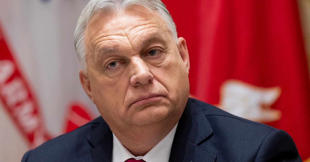 Le Premier ministre hongrois Viktor Orban le 7 novembre 2025, à Washington, aux Etats-Unis