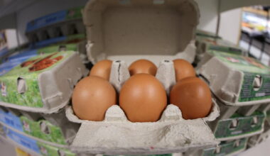 « La consommation d’œufs est extrêmement soutenue » : pourquoi les rayons sont (parfois) vides dans les magasins