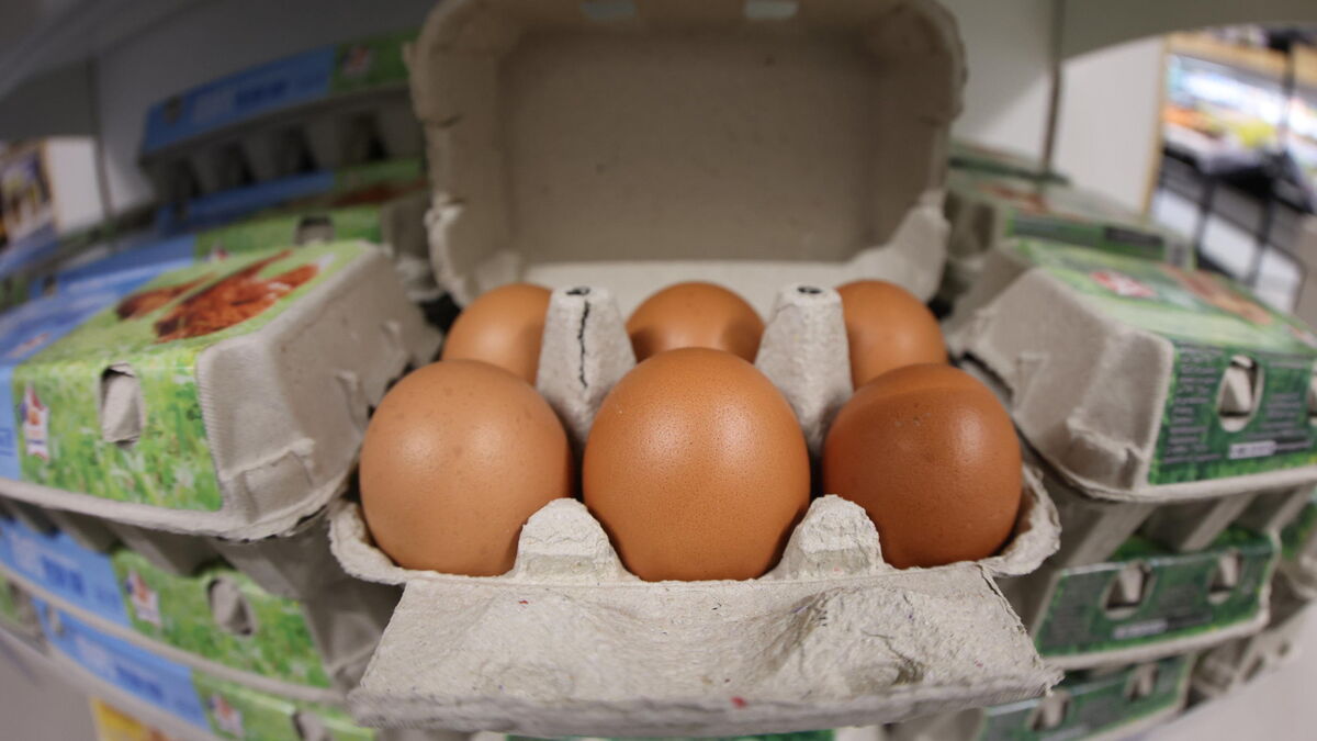 « La consommation d’œufs est extrêmement soutenue » : pourquoi les rayons sont (parfois) vides dans les magasins