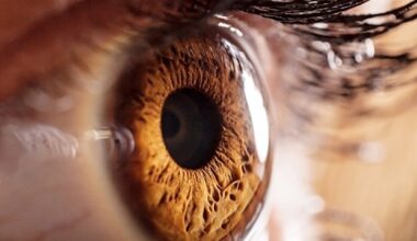 La plus grande ressource d'imagerie et de données oculaires au monde s'étend à travers le Royaume-Uni