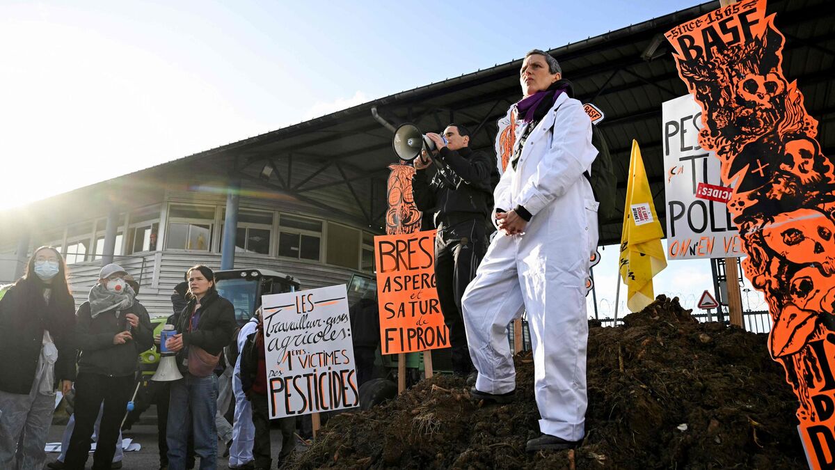 Pollution : des manifestants bloquent une usine BASF près de Rouen