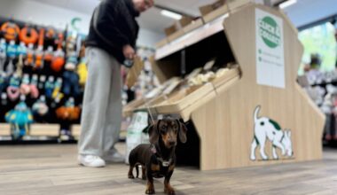 « L’espace chat a été dévalisé ! » : à Paris, le premier Maxi Zoo urbain séduit déjà les propriétaires d’animaux